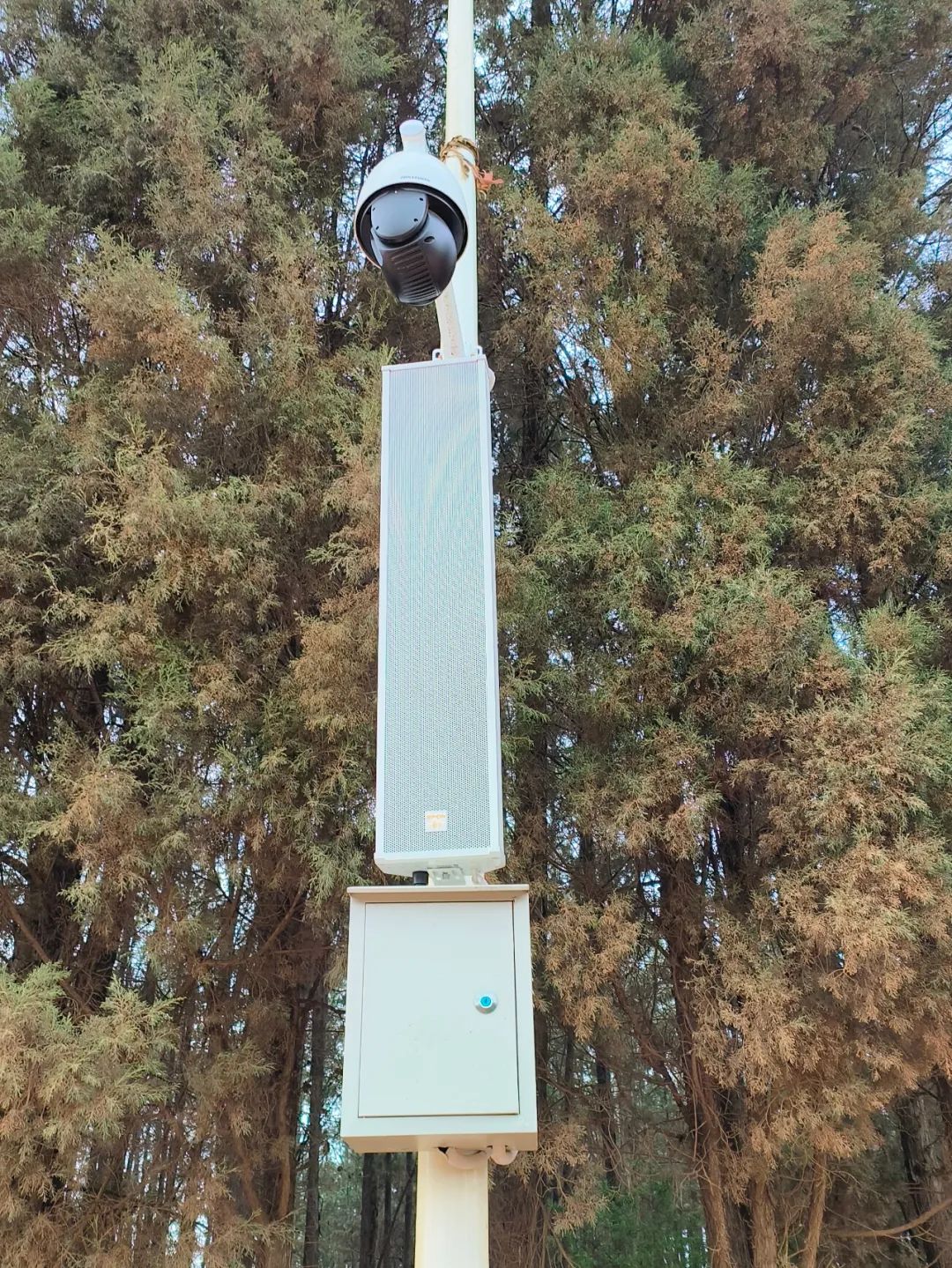 太阳GG·(中国区)官方网站