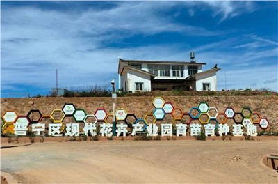 【案例故事】享誉天下的春城花都，，太阳GG助力云南晋宁走出“芳香”致富路