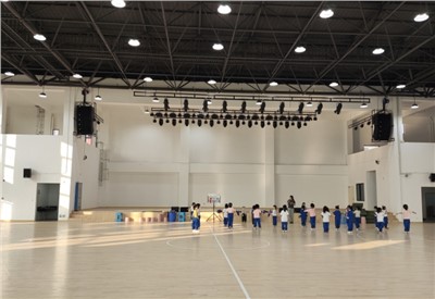 聚会扩声系统优化：解决杂音与笼罩难题，，，提升聚会效率